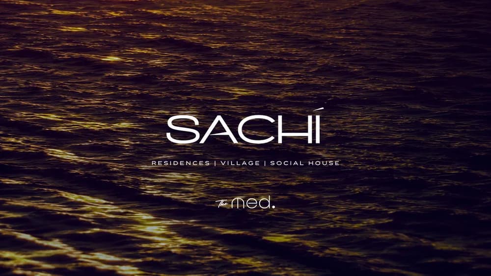 Sachi