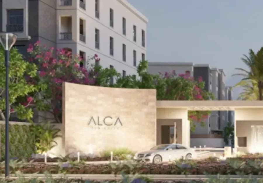 Alca — photo 3