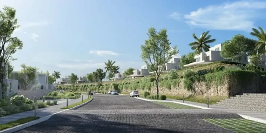 LVLS Mountain View