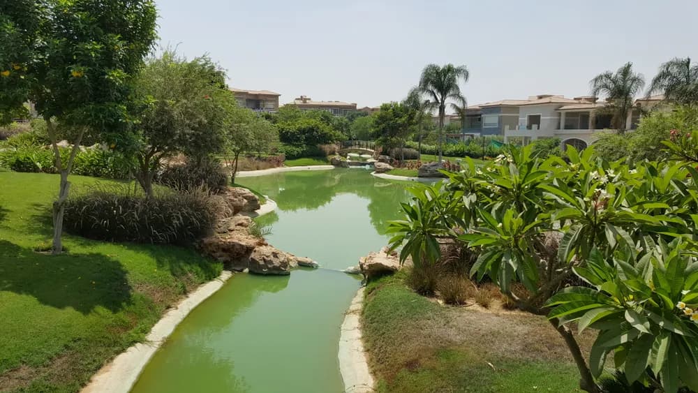 Lake View