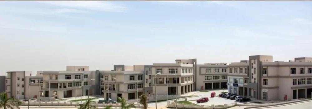 الكرمة 4