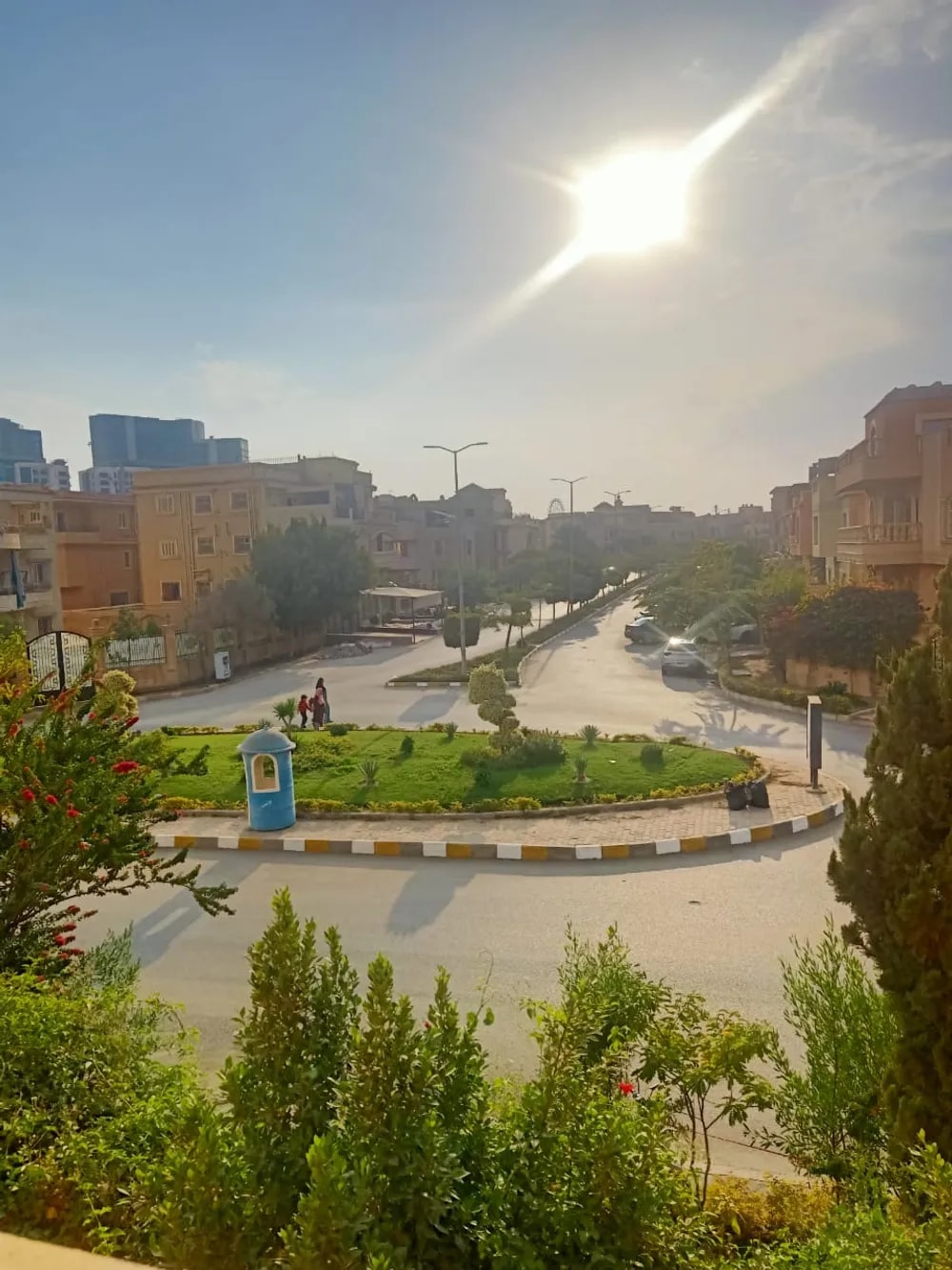 الياسمين الشيخ زايد